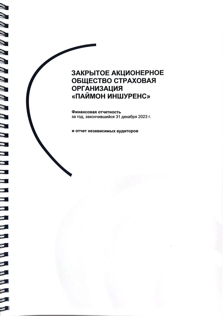 Обложка аудиторского отчета за 2023 год