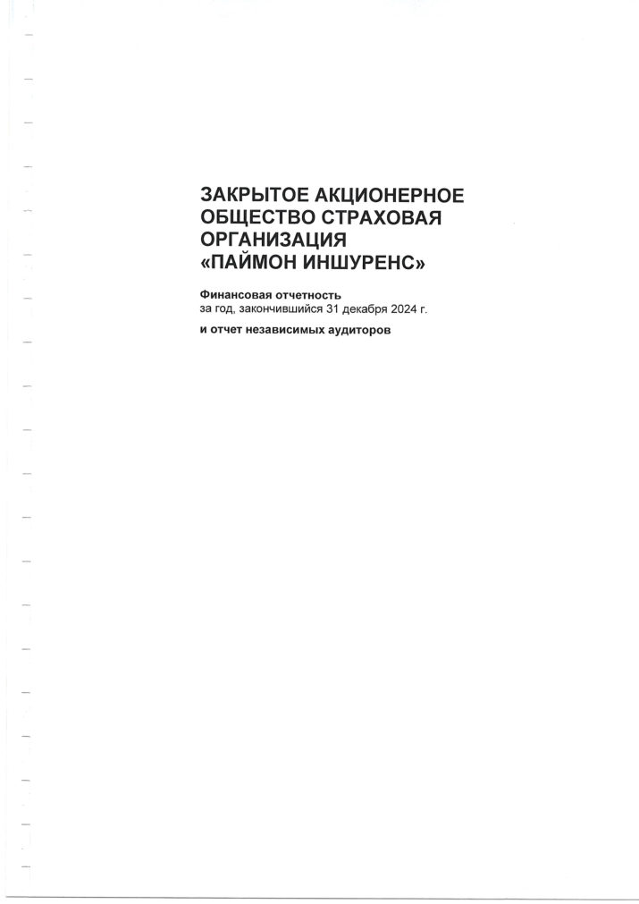 Обложка аудиторского отчета за 2024 год